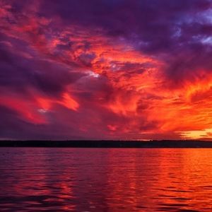 Meet your Posher, Tessa